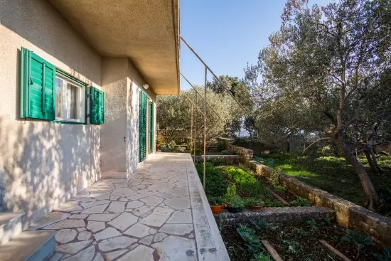 Apartmán Střední Dalmácie - Vinišće DA 3441 N2