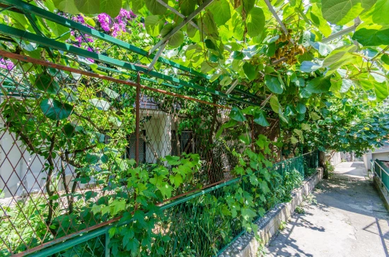 Apartmánový pokoj Střední Dalmácie - Makarska DA 2021 N1