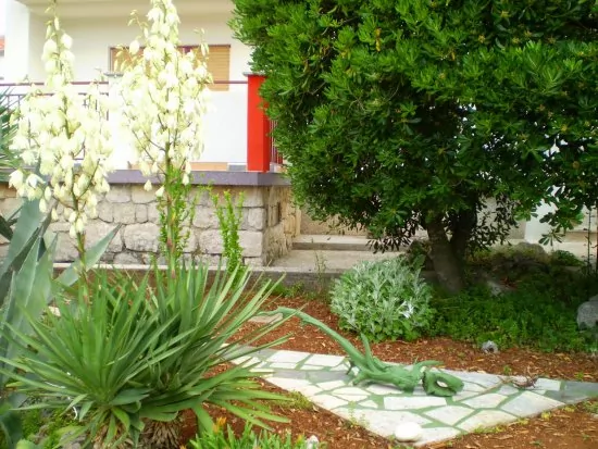 Apartmán Ostrov Krk - Krk OS 8421 N1