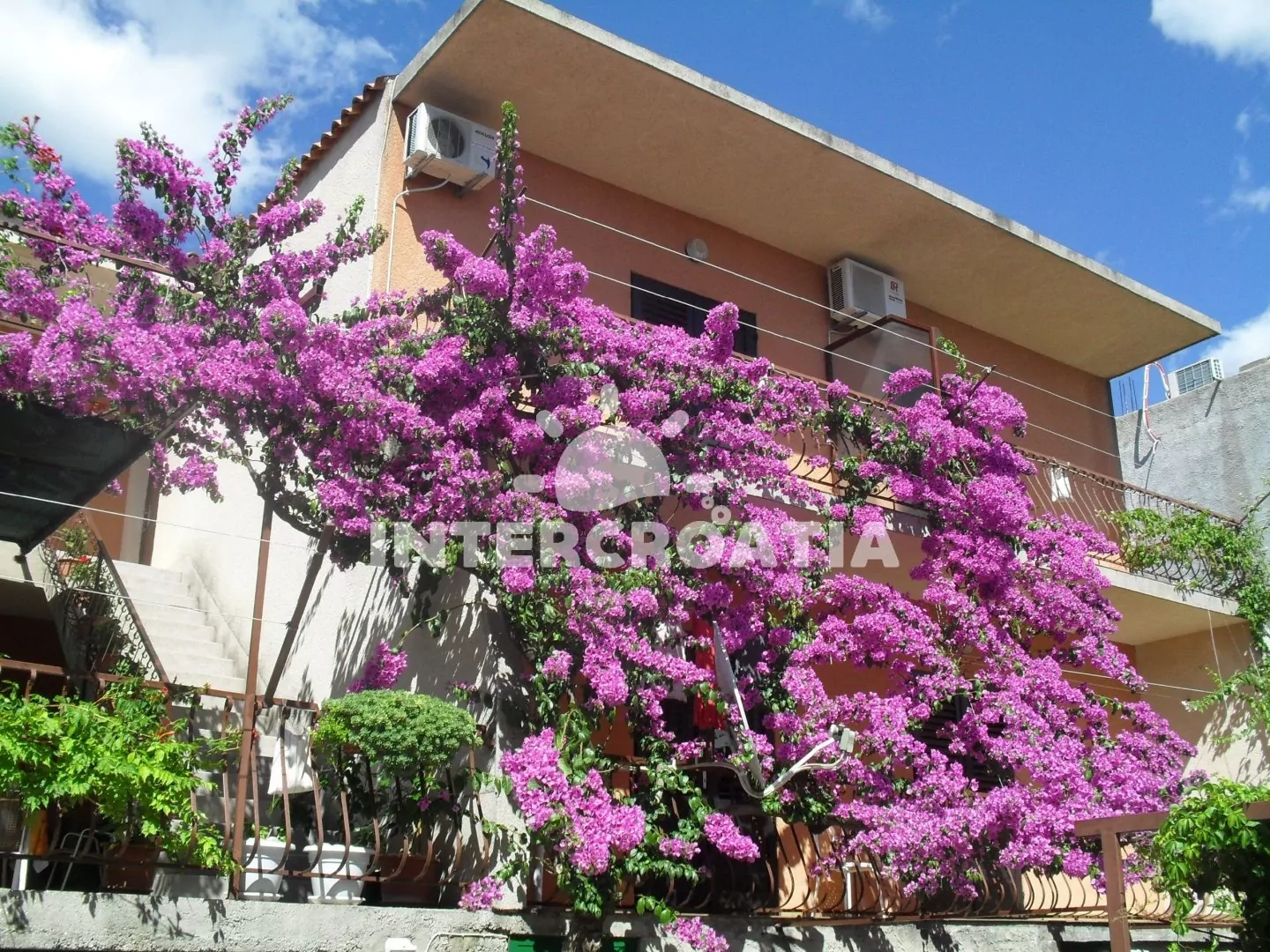 Apartmán Střední Dalmácie - Makarska DA 2022 N2