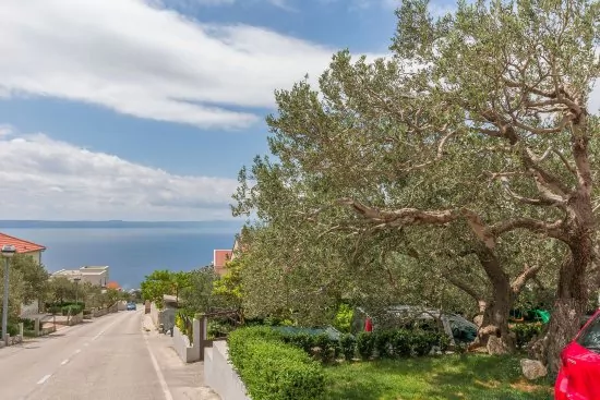 Apartmán Střední Dalmácie - Makarska DA 2023 N2