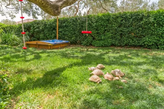 Apartmán Střední Dalmácie - Makarska DA 2023 N2