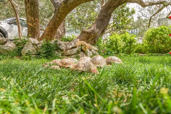 Apartmán Střední Dalmácie - Makarska DA 2023 N2