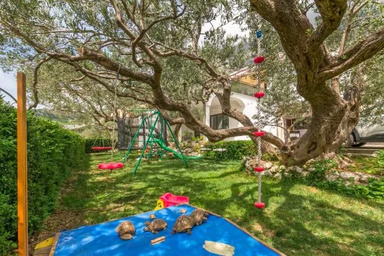 Apartmán Střední Dalmácie - Makarska DA 2023 N3