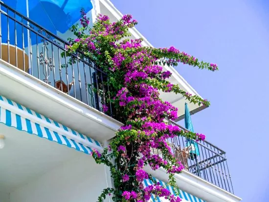 Apartmán Střední Dalmácie - Okrug Gornji DA 3344 N3