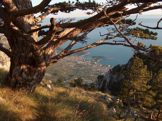 Makarska výhled.