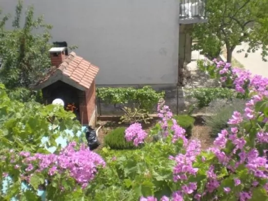 Apartmán Severní Dalmácie - Rogoznica DA 3658 N2