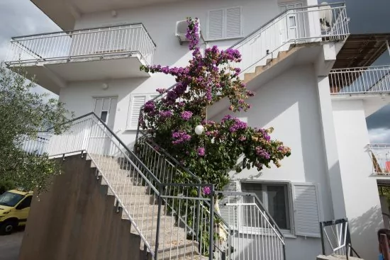 Apartmán Severní Dalmácie - Rogoznica DA 3660 N2