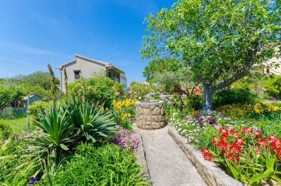 Apartmán Ostrov Rab - Lopar OS 7921 N3