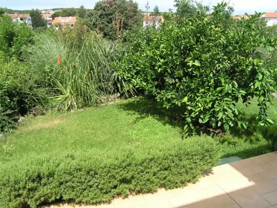 Apartmán Ostrov Krk - Krk OS 8422 N1