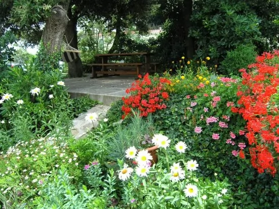 Apartmán Ostrov Krk - Krk OS 8422 N2