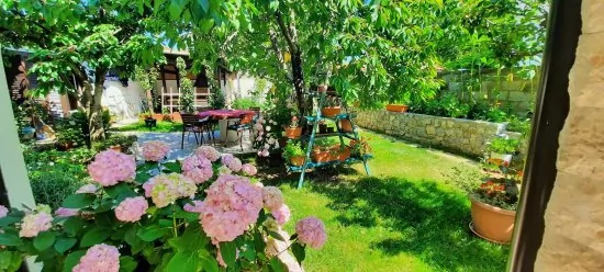 Apartmán Ostrov Krk - Krk OS 8423 N2