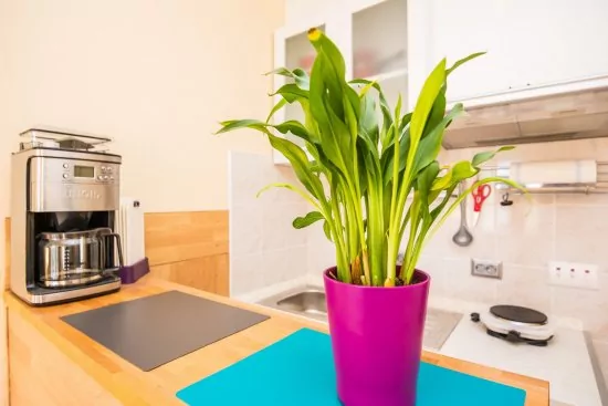 Apartmán Ostrov Vir - Vir OS 5515 N2