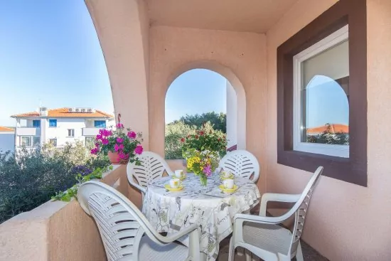 Apartmán Ostrov Krk - Punat OS 8211 N1