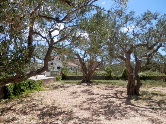 Apartmán Severní Dalmácie - Rogoznica DA 3667 N2