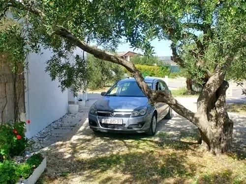 Apartmán Severní Dalmácie - Rogoznica DA 3667 N2