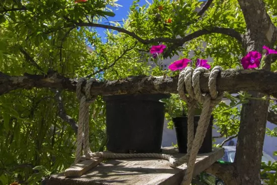 Apartmán Severní Dalmácie - Vodice DA 4235 N3