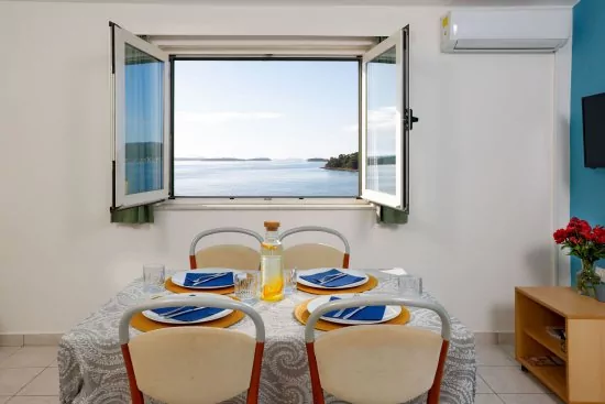 Apartmán Ostrov Pašman - Pašman OS 5007 N5