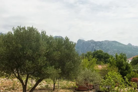 Apartmán Severní Dalmácie - Seline DA 6021 N5