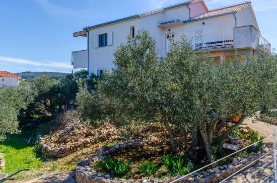 Apartmán Střední Dalmácie - Slatine (Čiovo) DA 3241 N3