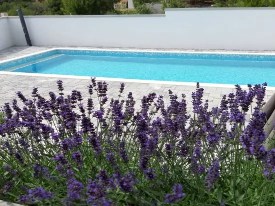 Apartmán Severní Dalmácie - Seline DA 6024 N1