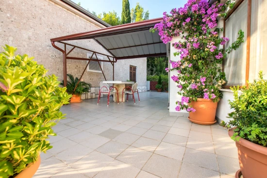 Apartmán Severní Dalmácie - Starigrad DA 6026 N2