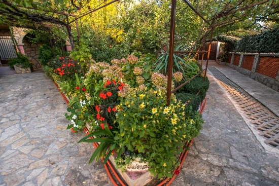 Apartmán Severní Dalmácie - Starigrad DA 6026 N5