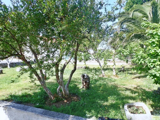 Apartmán Severní Dalmácie - Starigrad DA 6027 N5