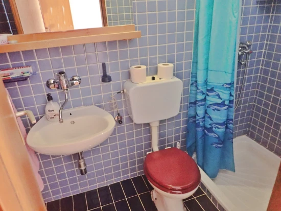 Apartmán Severní Dalmácie - Starigrad DA 6028 N2