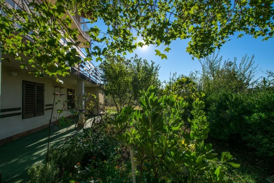 Apartmán Severní Dalmácie - Starigrad DA 6030 N1