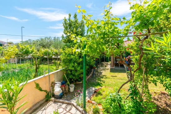 Apartmán Ostrov Rab - Lopar OS 7938 N2