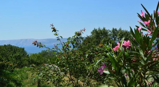 Apartmán Kvarner - Novi Vinodolski KV 1845 N2