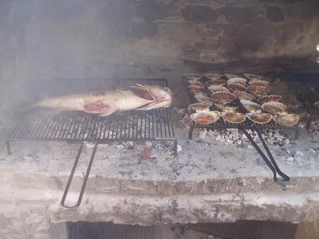 Bungalov Jižní Dalmácie - Klek DA 1311 N8