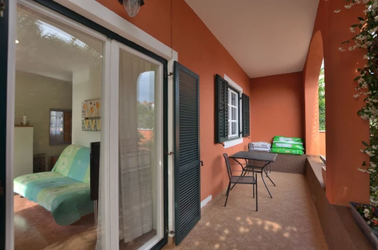 Apartmán Istrie - Novigrad IS 3506 N1