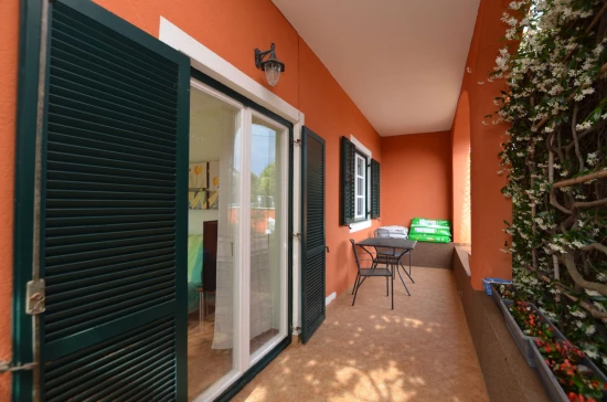 Apartmán Istrie - Novigrad IS 3506 N1