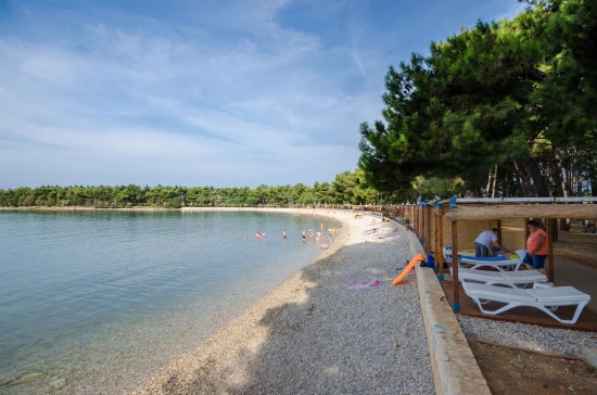 Apartmán Istrie - Novigrad IS 3506 N1