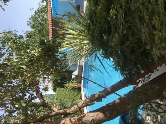 Apartmán Istrie - Vinkuran (Pula) IS 7000 N2