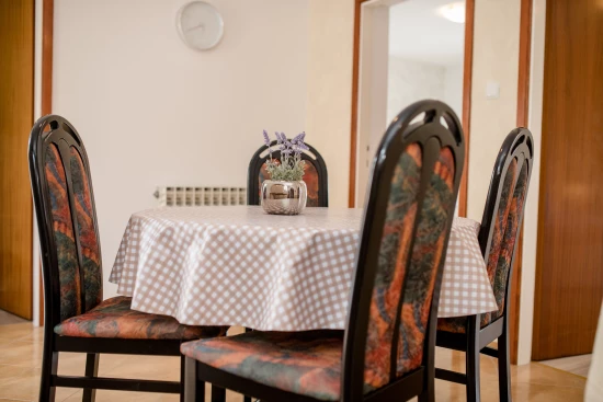 Apartmán Ostrov Rab - Palit OS 9024 N2