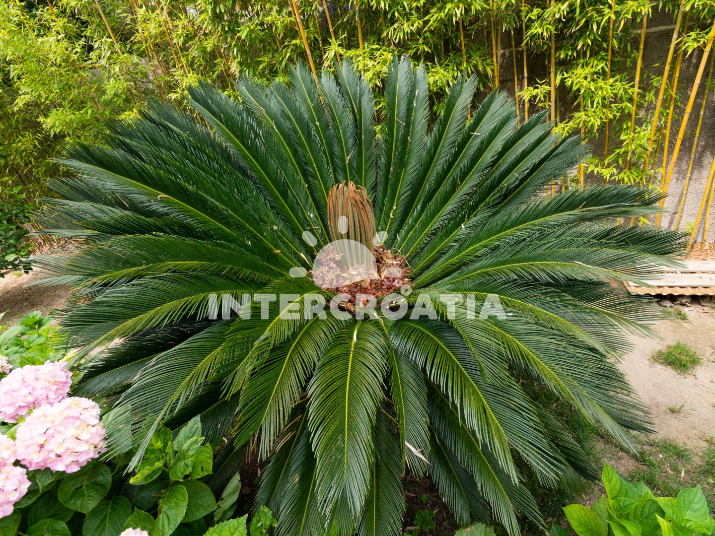 Apartmán Ostrov Rab - Banjol OS 9026 N2