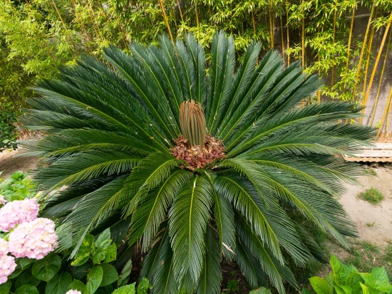 Apartmán Ostrov Rab - Banjol OS 9026 N2