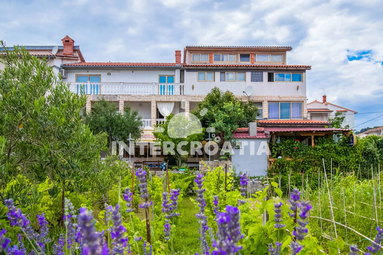 Apartmán Ostrov Rab - Palit OS 9031 N1