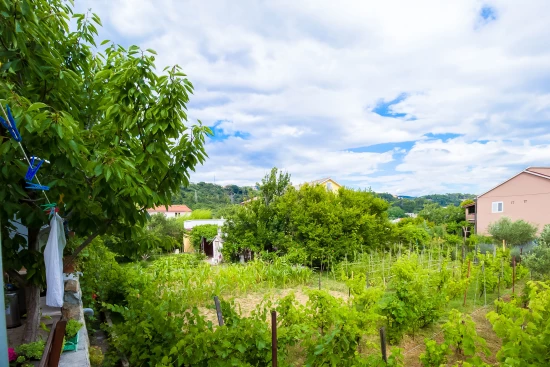 Apartmán Ostrov Rab - Palit OS 9031 N2