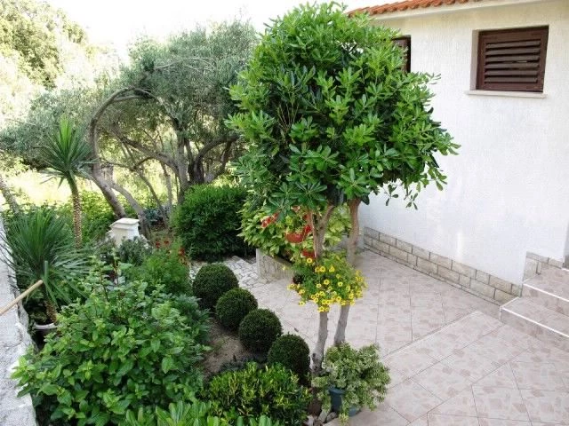 Apartmán Ostrov Rab - Supetarska Draga OS 9032 N3