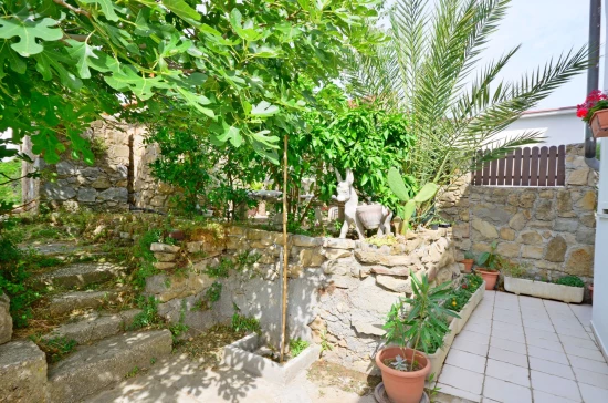 Apartmán Ostrov Rab - Lopar OS 9036 N3