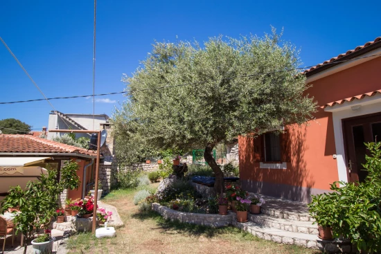 Apartmán Ostrov Lošinj - Ćunski OS 9039 N1