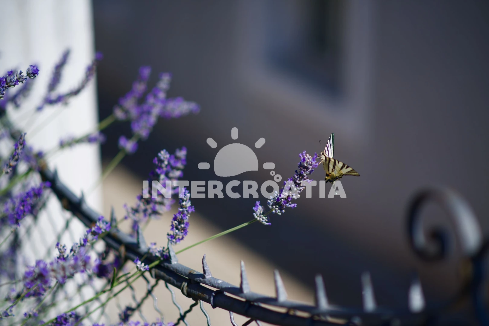 Apartmán Ostrov Lošinj - Mali Lošinj OS 9040 N2