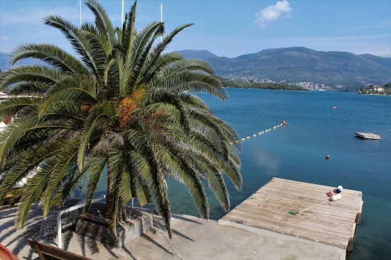 Apartmán Černá Hora - Tivat CH 7000 N3