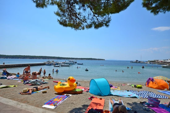 Apartmán Ostrov Rab - Banjol OS 9059 N1