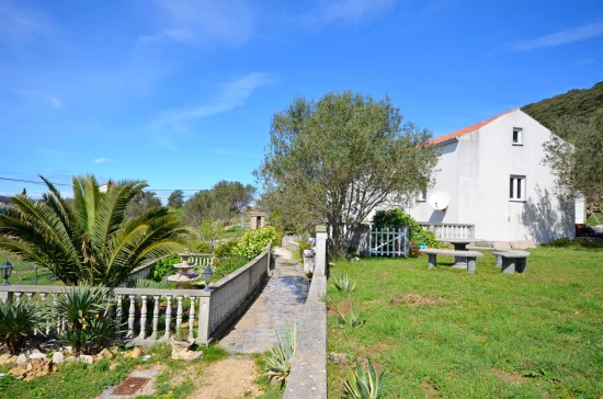 Domek Ostrov Rab - Supetarska Draga OS 9066 N1