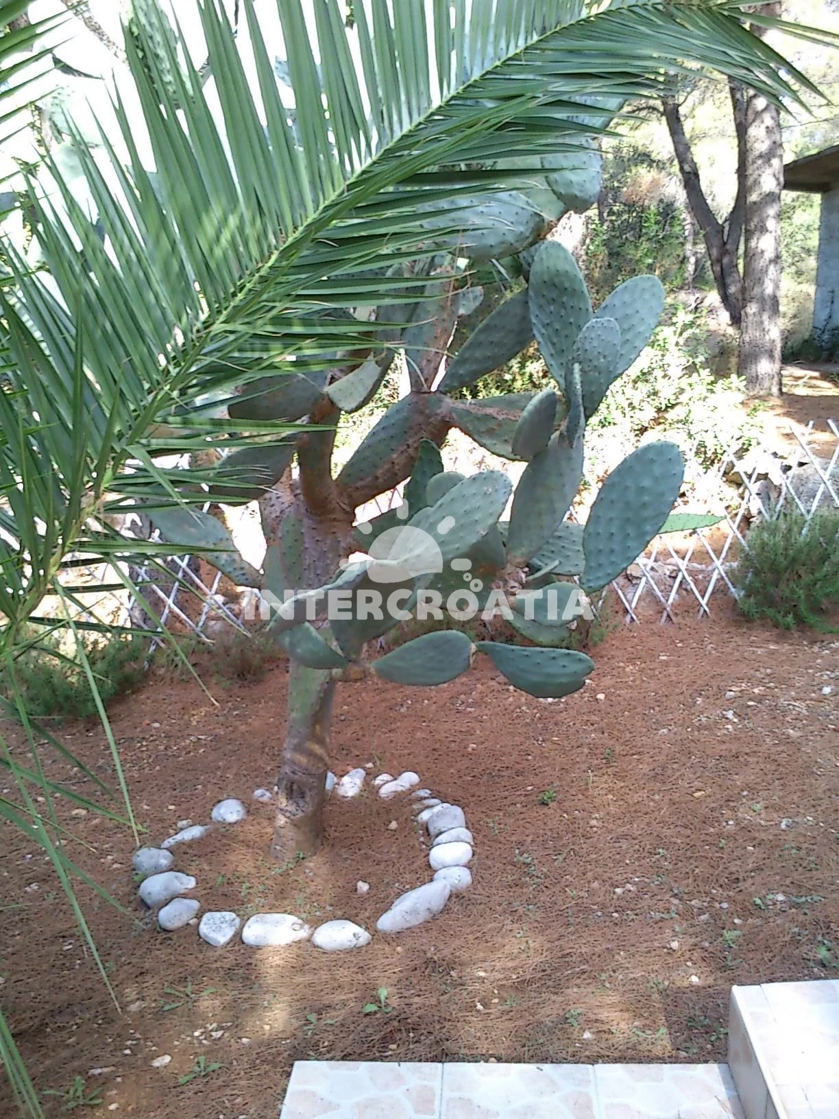 Apartmán Ostrov Vis - Rukavac OS 9068 N2